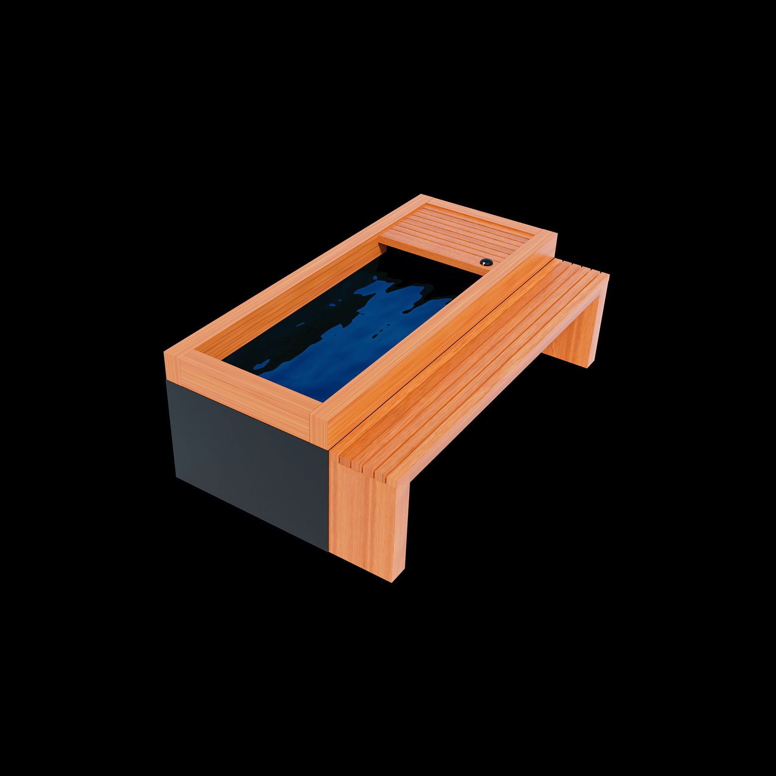 Medical Frozen 2 Cold Plunge - Pro Plunge